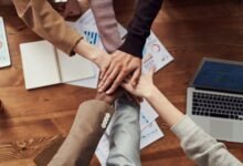 business innovation insights uncovered