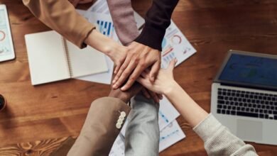 business innovation insights uncovered