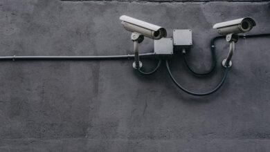remote ip camera monitoring