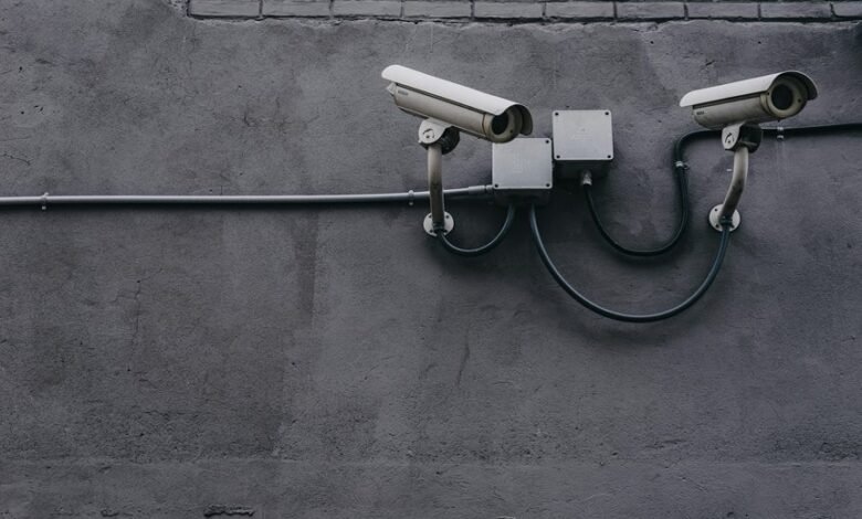 remote ip camera monitoring