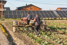 technological growth and innovation