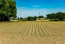 transforming key industry sectors