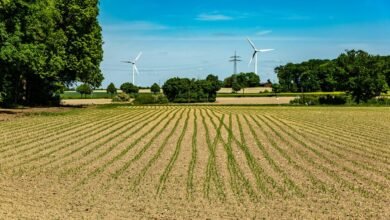 transforming key industry sectors