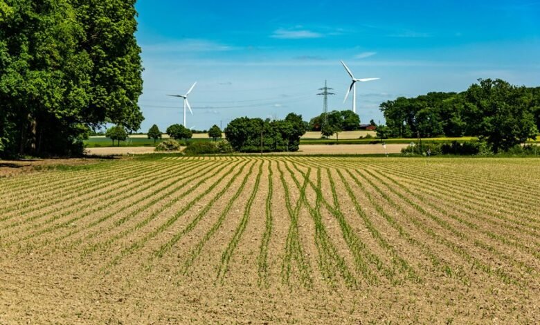transforming key industry sectors