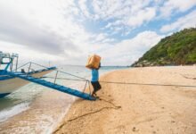 advanced business intelligence insights