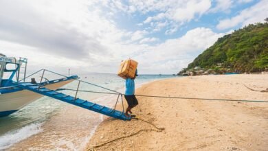 advanced business intelligence insights